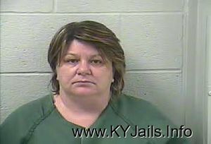 Denise D Johnson  Arrest