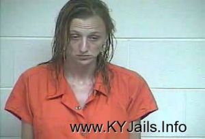 Donna C Glore  Arrest