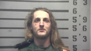 Dylan Fannin Arrest Mugshot