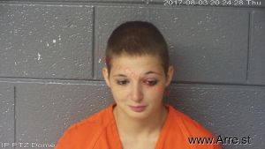 Erica Houchin Arrest Mugshot