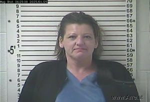 Erin Booker Arrest Mugshot