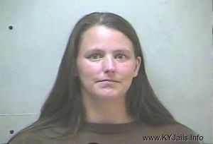 Emily S Wells  Arrest