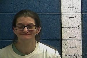 Heather  Johnson Arrest Mugshot