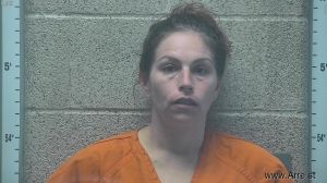 Heather Johnson Arrest Mugshot