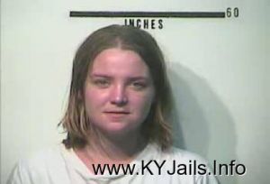 Heather Michelle Wilson  Arrest Mugshot