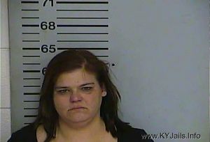 Holly M Johnson  Arrest Mugshot