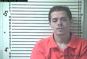 Ian Criner Arrest