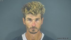 Jeremy Ping Arrest Mugshot