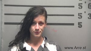 Jessica Hanns Arrest Mugshot