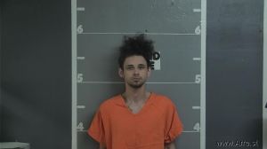 John Hall Arrest Mugshot