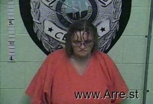 Julie  Blevins  Arrest Mugshot