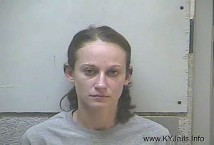 Jamie Lyn Morgan  Arrest Mugshot