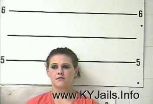 Jana Lynn Fleming  Arrest