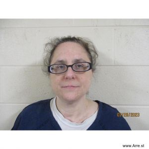 Jessica Collins Arrest Mugshot