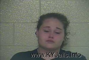 Jessica Gayle Willis  Arrest Mugshot