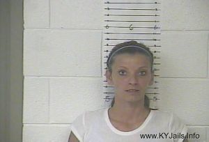 Jessica Michelle Flanary  Arrest Mugshot