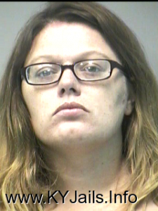 Judy Ann Chandler  Arrest