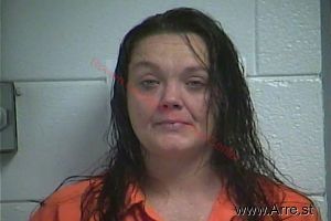 Kelly Stevens Arrest Mugshot