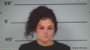 Kendra Snyder Arrest