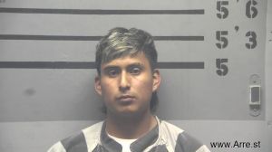 Kevin Tenezaca Pala Arrest Mugshot
