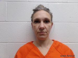 Kristin Holloway Arrest Mugshot