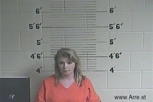 Kayla Brinegar Arrest