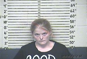 Laura Robinette-erwin Arrest Mugshot