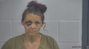 Laurel Napier Arrest Mugshot