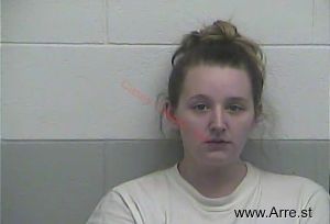 Lauren Mansfield Arrest Mugshot