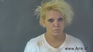 Lisa Berryman Arrest Mugshot