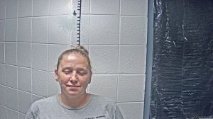 Lisa Fields Arrest Mugshot