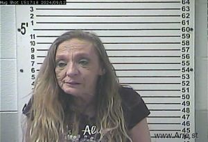 Lisa Logsdon Arrest Mugshot