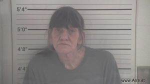 Lisa Troendle  Arrest Mugshot