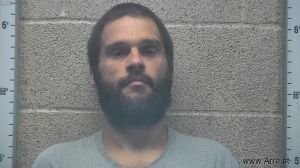 Logan Bolin Arrest Mugshot