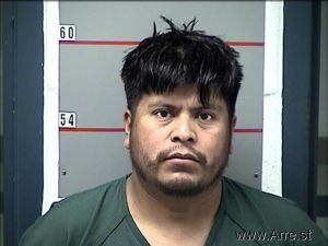 Lorenzo Rosales-altamira Arrest Mugshot