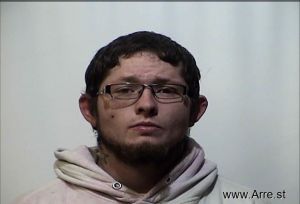 Lucas Lauritson Arrest Mugshot