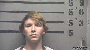 Lucas Perkins Arrest