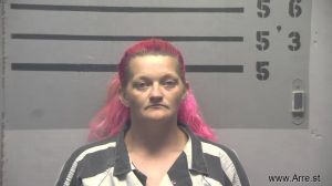 Lucinda Willis Arrest