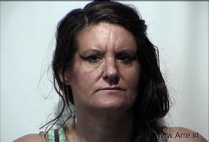 Lindsay Hammer Arrest Mugshot