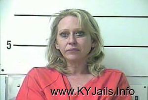 Lisa Ellen Lara  Arrest