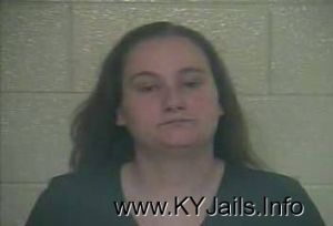 Lisa Jane Holbrook  Arrest Mugshot
