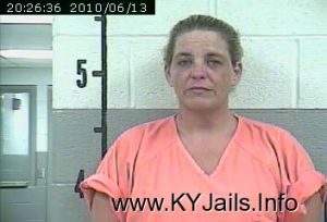 Lisa Michelle Blanford  Arrest