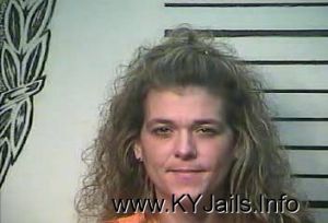 Lisa Michelle Johns  Arrest