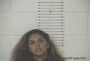 Loretta L Bushore  Arrest Mugshot