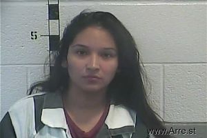 Maria Meza Arrest Mugshot