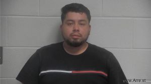 Mario Garcia Arrest