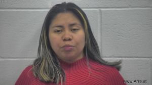 Mayra Ramirez Vasquez Arrest Mugshot