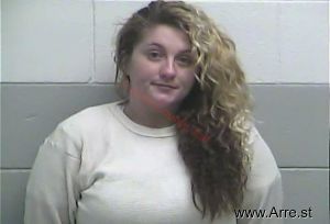 Meagan Hayes  Arrest Mugshot