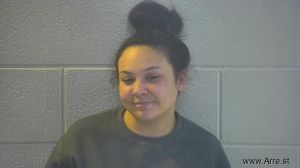 Megan Cook Arrest Mugshot