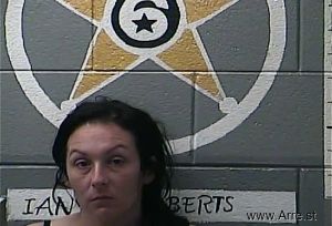 Megan Dennis Arrest Mugshot
